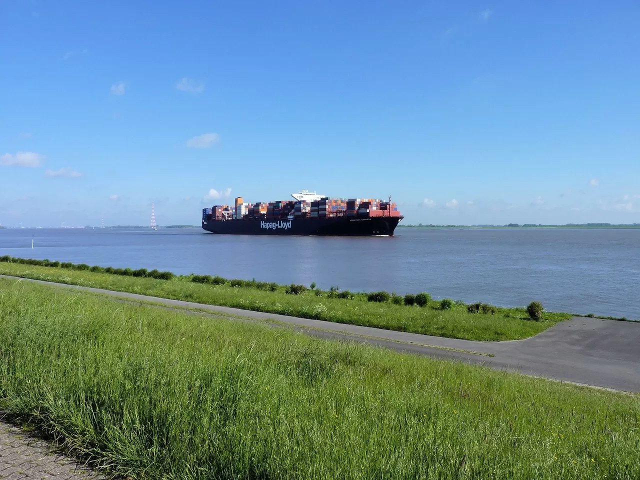How does the export agency for galvanized steel wire help enterprises go global?