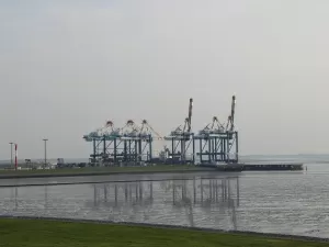 Handling of Agent Import and Export Tax Rebates? All You Need to Know Here!
