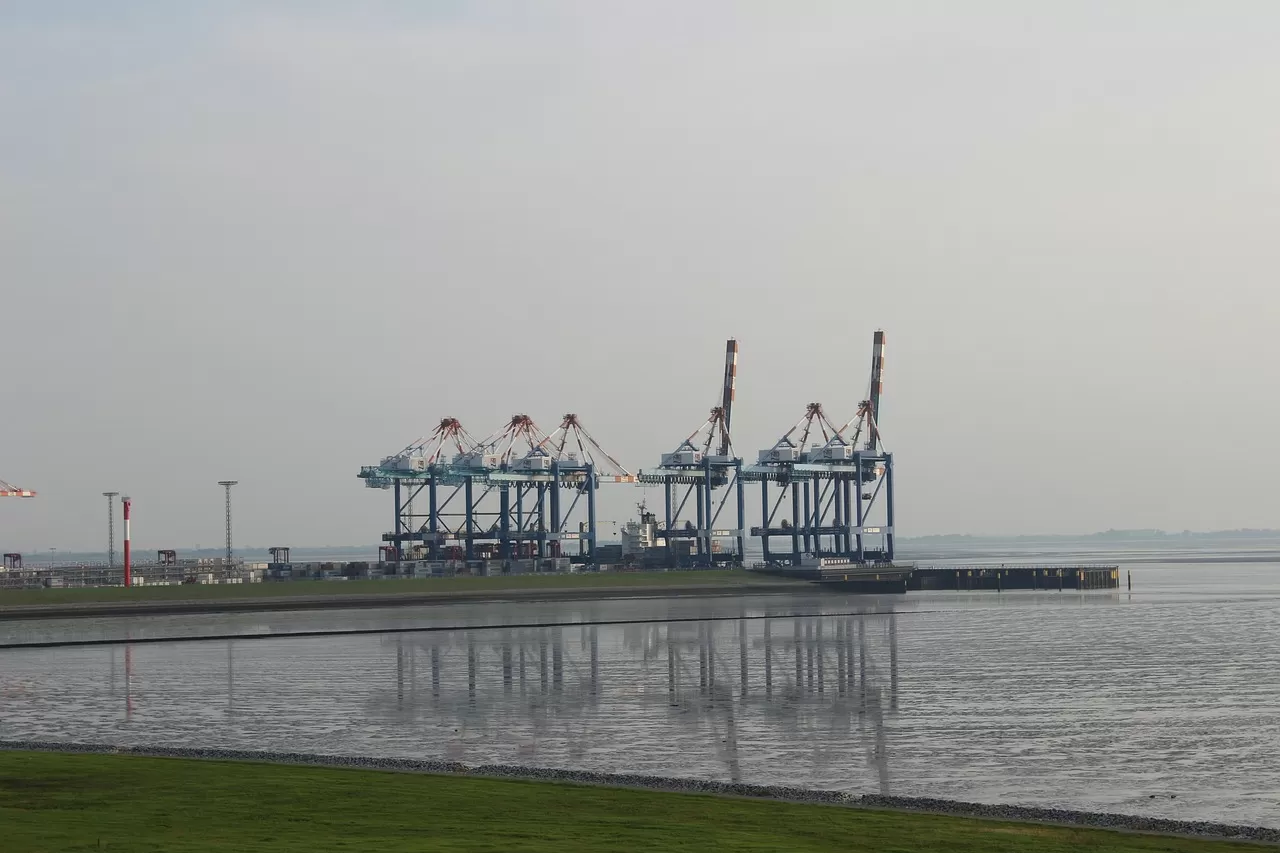 Do You Really Know How to Choose for Handling Agent Import and Export Tax Rebates?