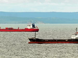 Is customs brokerage a goldmine? Fee breakdown shocks importers