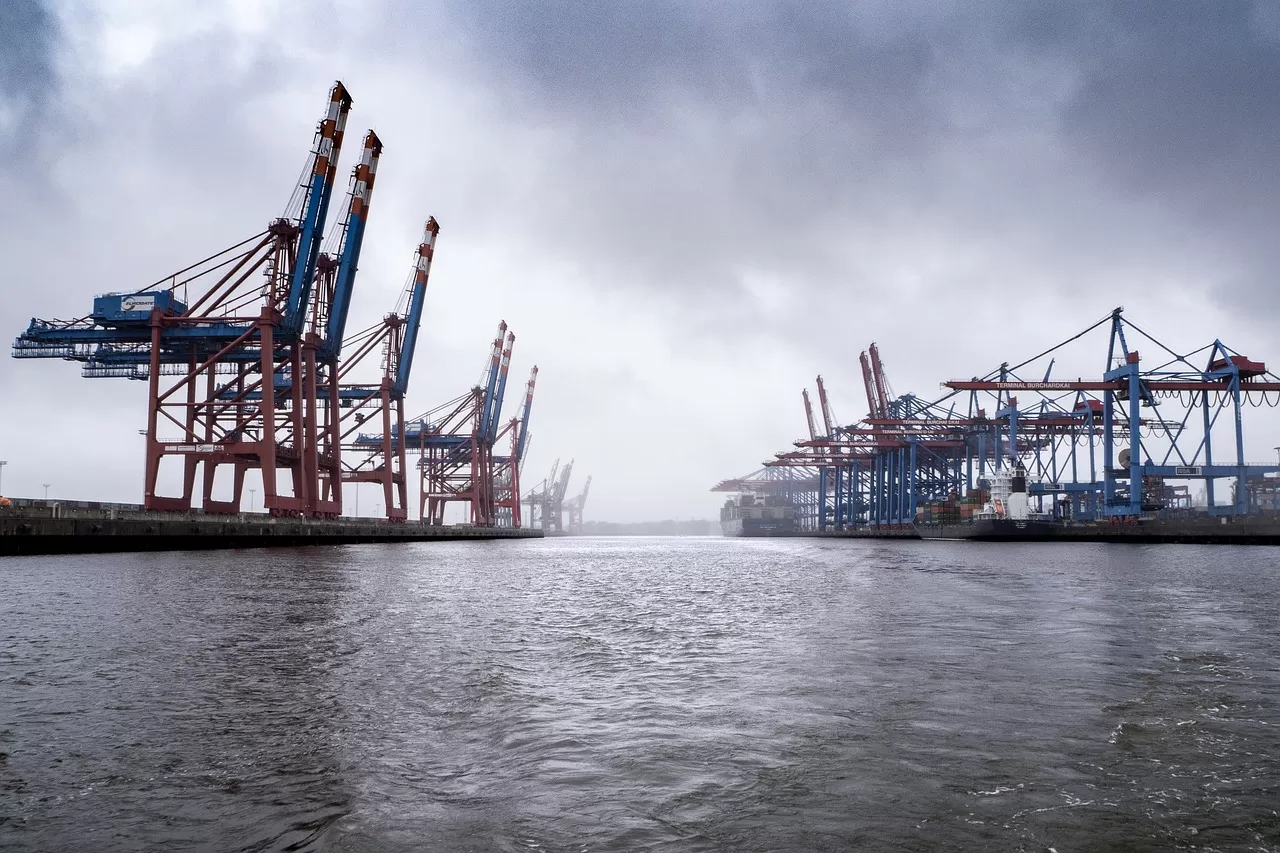 Don't be blind! The key to choosing the right Xuzhou Food Import and Export Agency
