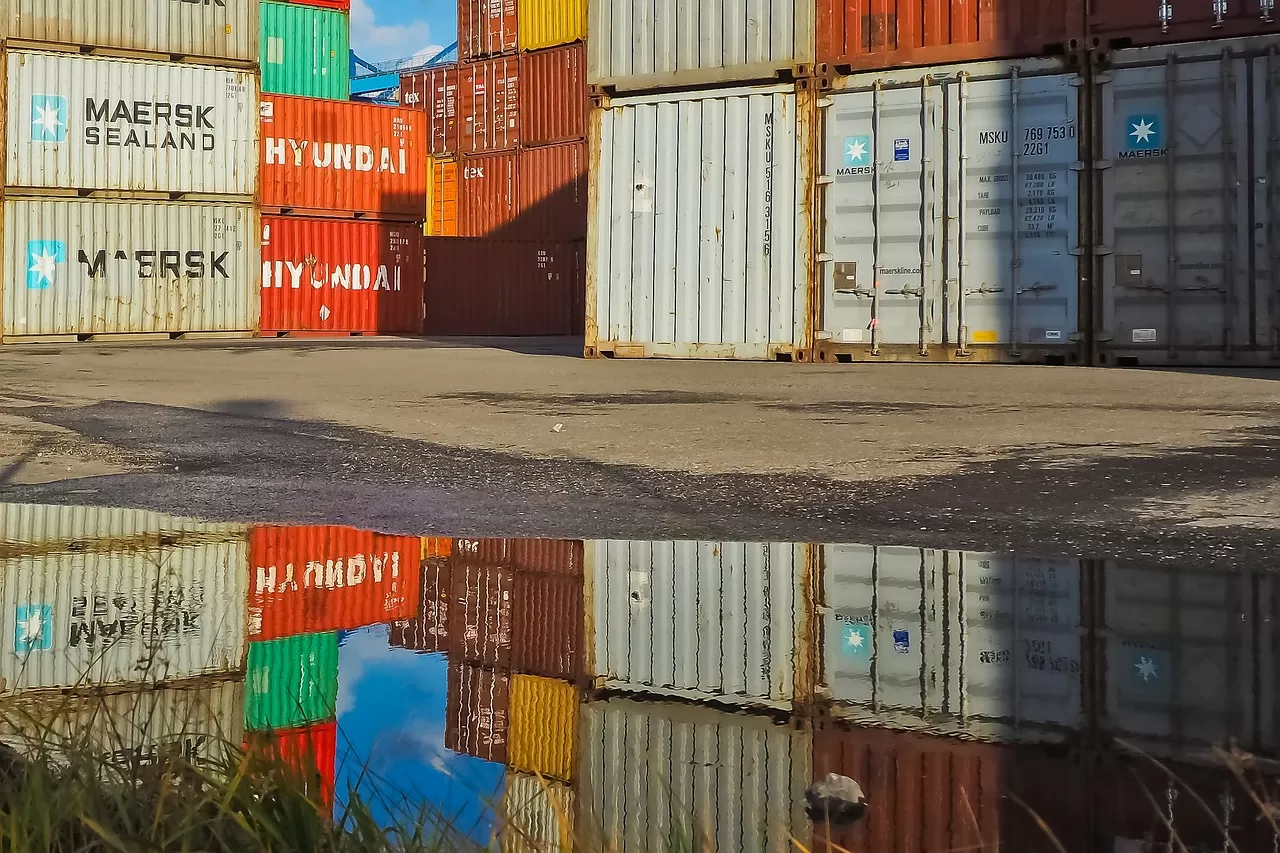 Explore the Dongguan-Indonesia entrepot trade, how much do you know?