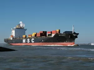 The Import Agents in Cangzhou and Qingdao, Trade Secrets You Don't Know!