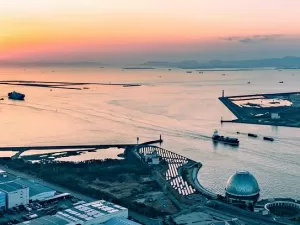 Does Export Logistics Agency Have Such a Great Role? A Must - Read for Wuxi Enterprises!