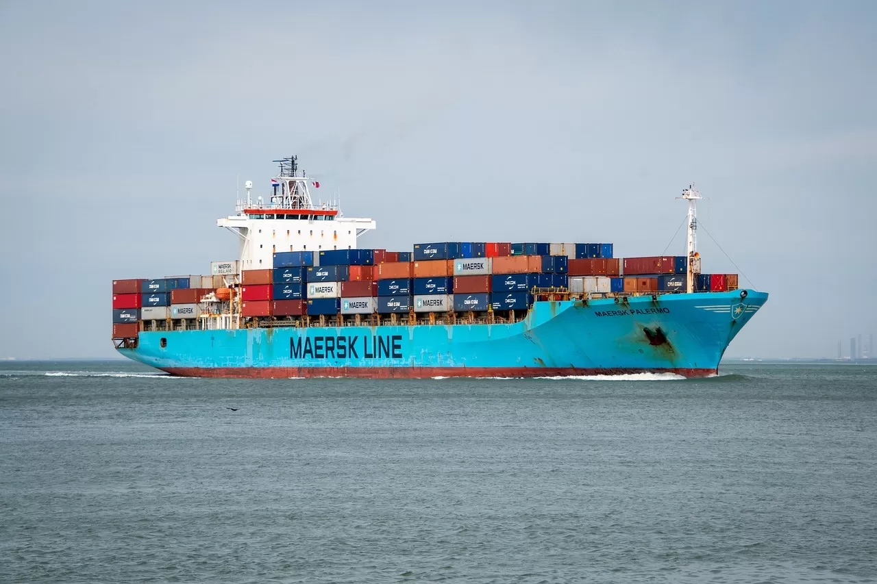 Revealing the Application Process for Import and Export Qualifications
