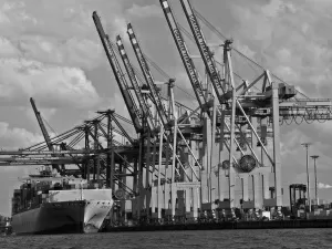 Stop Preparing Blindly! The Ultimate Guide to Documents for Setting Up an Import-Export Trading Company