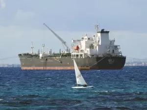 Liaoning Huiheng Agency Export, Actually Has So Many Hidden Advantages?