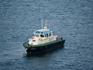 How Deep Is the Water in Customs Clearance Agents?