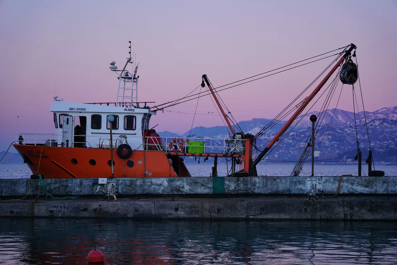 Why Have Cargo Customs Declaration Companies Become the Favorites of Enterprises?