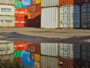 Is Trade Export Agency Really Necessary?