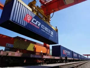 Agent Export Declaration? You'll Know Everything Here!