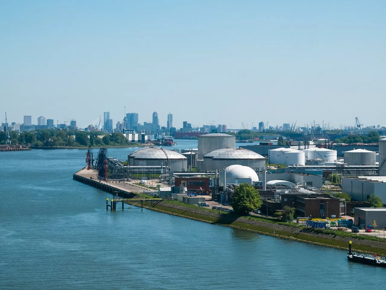 Are coffee import customs clearance agents really necessary?