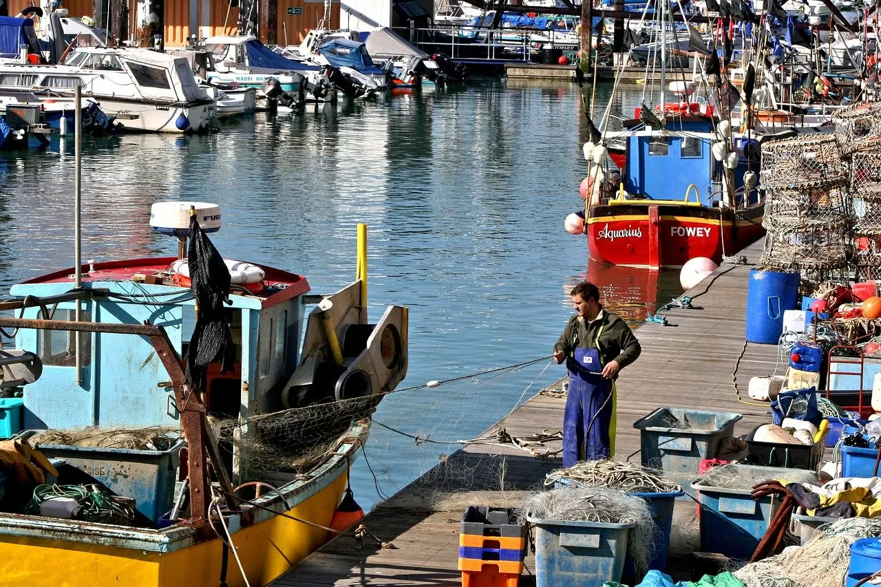 Customs Clearance Delays? You May Lack a 