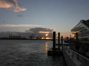 Revealing the ASEAN Trade Operators Who Are Making a Fortune Quietly